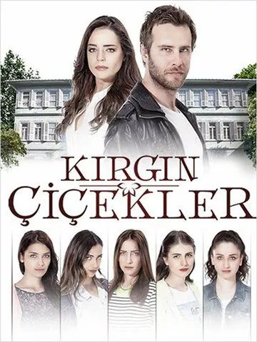 [catlist=21]Турецкий сериал[/catlist][catlist=22]Турецкий фильм[/catlist] Обиженные цветы